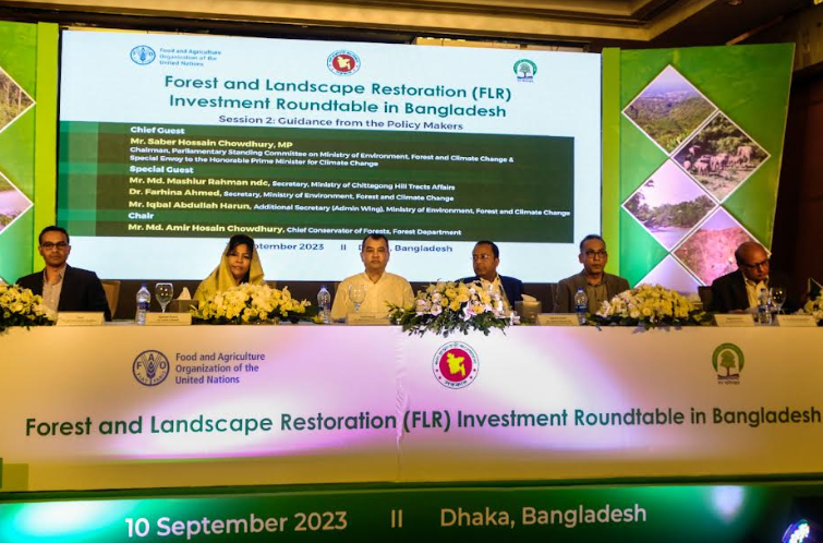 Investing in the future of Bangladesh’s increasingly vulnerable forests
