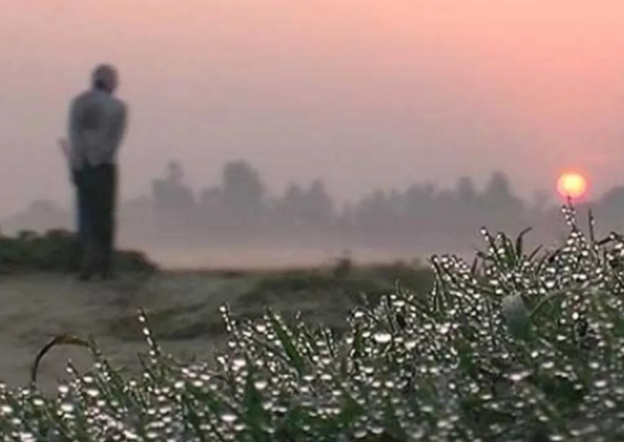 No Panic, But Caution Urged as HMpv Case Detected in Bangladesh