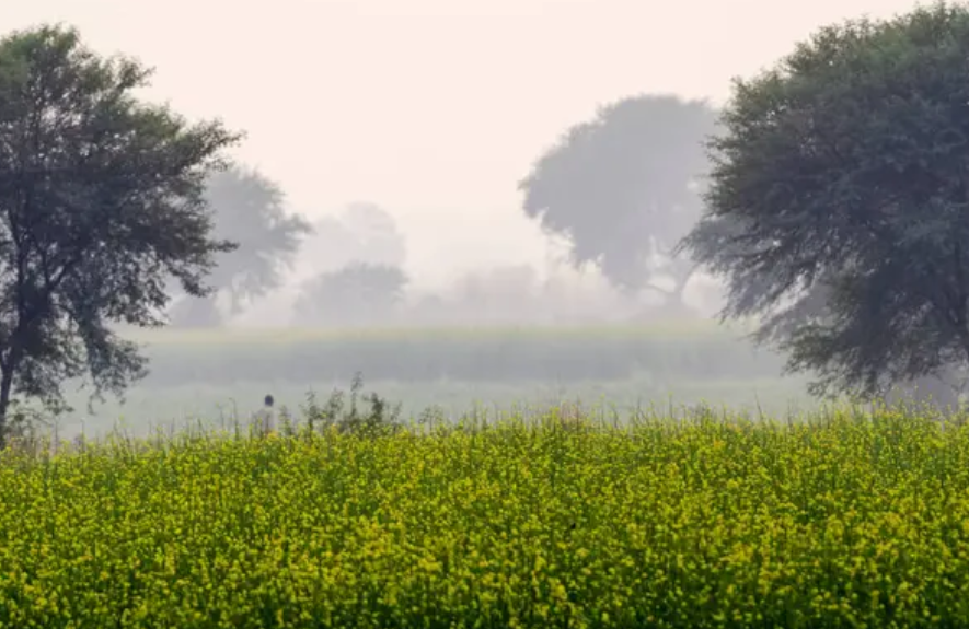 Cold Weather to Intensify with Lower Daytime Temperatures