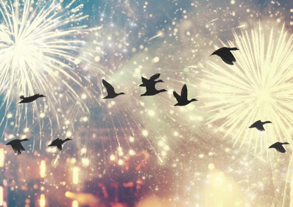 The Environmental Cost of Celebrations in Bangladesh