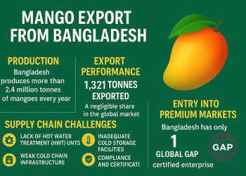 New study flags key hurdles to expanding mango exports