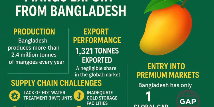 New study flags key hurdles to expanding mango exports